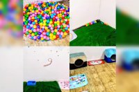 مربی سگ تربیت سگ