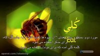 ٤.زنبور عسل ماده٭٭معجزات علمی قرآن٭٭