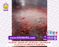 کباب گوشت خوشمزه،کیش رستوران با تخفیف،کباب گوشت با تخفیف در کیش