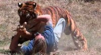 ویدیوهای ترسناک از برخورد با حیوانات وحشی #95