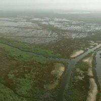 تالاب شادگان روستای زیبایی(صراخیه)