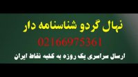 فروش نهال گردو شیلی کشت بافت 09123205271