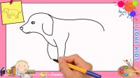 آموزش نقاشی سگ پا کوتاه برای بچه ها - نقاشی سگ - نقاشی کودکانه