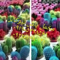 ساخت جیرپاش(مخملپاش)نیوکالر02156571279