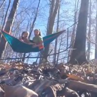 افتادن تنه درخت بر روی دخترای بی دقت