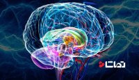 ایا استرس بر روی مغز تاثیر می گذارد؟