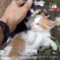 آدمهایى كه باعث میشن به انسانیت ایمان بیاریم.