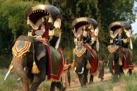 دانلود فیلم سینمایی راه آبی ابریشم کامل و رایگان