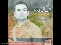 یکی رفت امین کمالی, yeki raft amin kamali