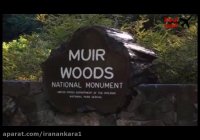 یادبود ملی مور وودز