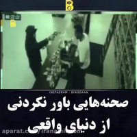 صحنه های باور نکردنی در دنیای واقعی !!!