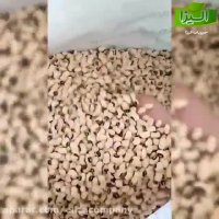 فروش لوبیا چشم بلبلی