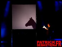 نمایش بی نظیر با سایه ها