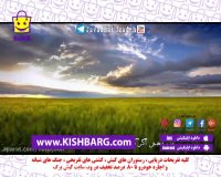 سال خوک 1398،کیش ارزان با تخفیف های ارزان،جشنواره کیش 1398