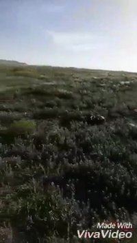 مناظرزیباروستای اسدی غیاثوند