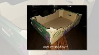 کارتن بسته بندی میوه و صیفی جات صادراتی