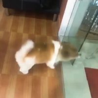 حکایت دعواهای مجازی