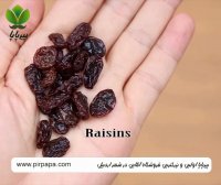 خلاقیت باسیب