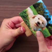 کاربردهای جالب چوب پنبه