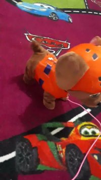 سگ های نگهبان البته مال من نیست