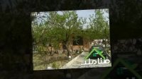 باغ ویلا قیمت مناسب در ملارد کد1298