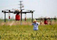 ممنوعیت تغییر پی در پی قوانین در حوزه سرمایه گذاری کشاورزی