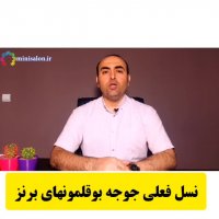 نسل فعلی جوجه بوقلمونهای برنز