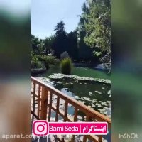 همین جوری یهویی