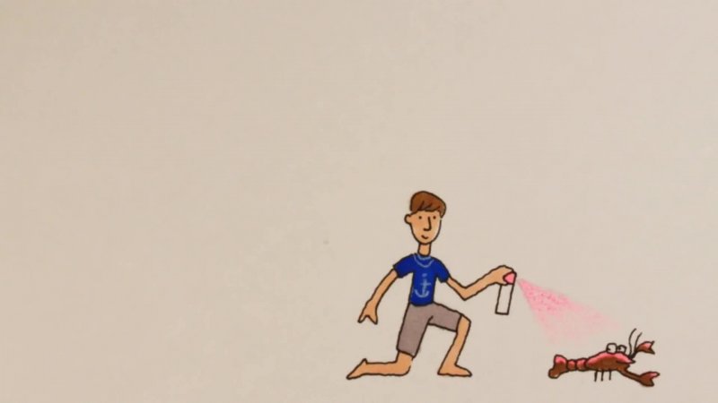 "Who Charted?" Custom Flipbook (Animation)