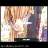 ماهی ریه دار آفریقایی که نامش Protopterus annectens است.