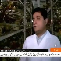 خواص قارچ گانودما از شبکه خبر