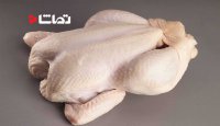 اضافه وزن مرغ‌ ایرانی، مانعی برای صادرات