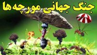 جنگ جهانی مورچه ها طولانی ترین جنگ جهانی بر روی زمین!