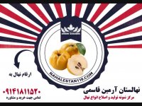 خرید نهال به 09141811520