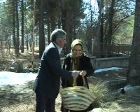 فیلم کوتاه سقوط یک برگ پائیزی