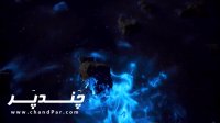دریای ستاره ای و درخشان در شب با پلانکتون ها - چَندپَر