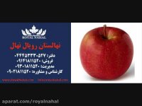 ارقام نهال سیب 09141811520