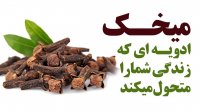 میخک ادویه ای که زندگی شما را متحول میکند