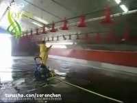 تمیز کردن و ضد عفونی کردن مزرعه مرغداری