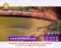 سال 1398 بر ایرانیان عزیز مبارک،جشنواره کیش 1398 ،سال خوک