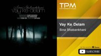 Sina Shabankhani - Vay Ke Delam