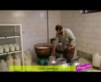 فوت کوزه گری 17 - بسیج سازندگی - لبنیات
