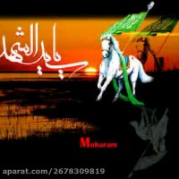 نوحه سینه زنی - زبانحال حضرت زینب- خواننده علی سیار