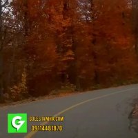 جاده پاییزی و رویایی درازنو