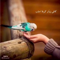 جان مهدی نگاه کن ما را | شعرخوانی زیبا برای امام زمان | کلیپ امام زمان