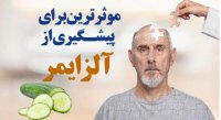 خیار موثرترین برای جلوگیری از آلزایمر