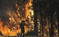 وسعت حریق در جنگل های کالیفرنیا سه برابر شد!