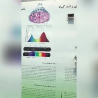نور مصنوعی برای گیاهان در خانه های کم نور