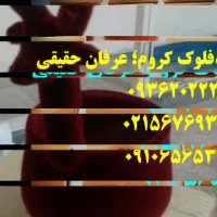 دستگاه مخمل پاش 09362022208