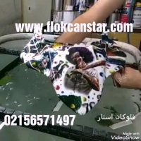 دستگاه هیدروگرافیک/واترترانسفر02156571497